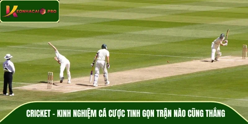 kỹ thuật đặt cược Blackjack hiệu quả